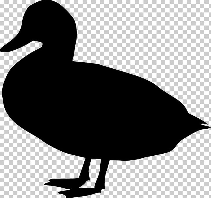 Duck Goose Fowl Neck PNG, Clipart, Animals, Artwork, Beak, Bird, Black And White Free PNG Download