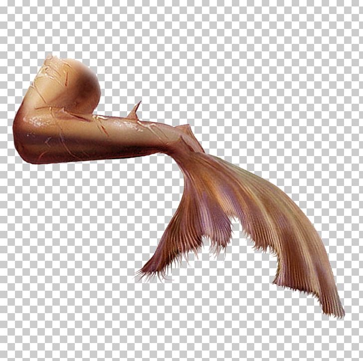 Mermaiding Tail PNG, Clipart, Arm, Art, Com, Concept Art, Deviantart Free PNG Download