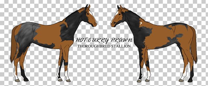 Mustang Holsteiner Foal American Quarter Horse Stock Photography PNG, Clipart, Animal Figure, Bit, Depositphotos, Dog, Equestrian Free PNG Download
