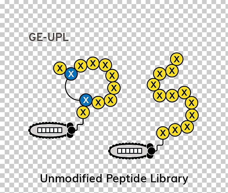 Peptide Phage Display Library Genetics Brand PNG, Clipart, Area, Bacteriophage, Body Jewelry, Brand, Circle Free PNG Download
