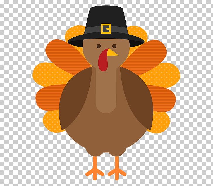 Turkey Meat Thanksgiving Pilgrim PNG, Clipart, Beak, Bird, Chicken, Cricut, Document Free PNG Download