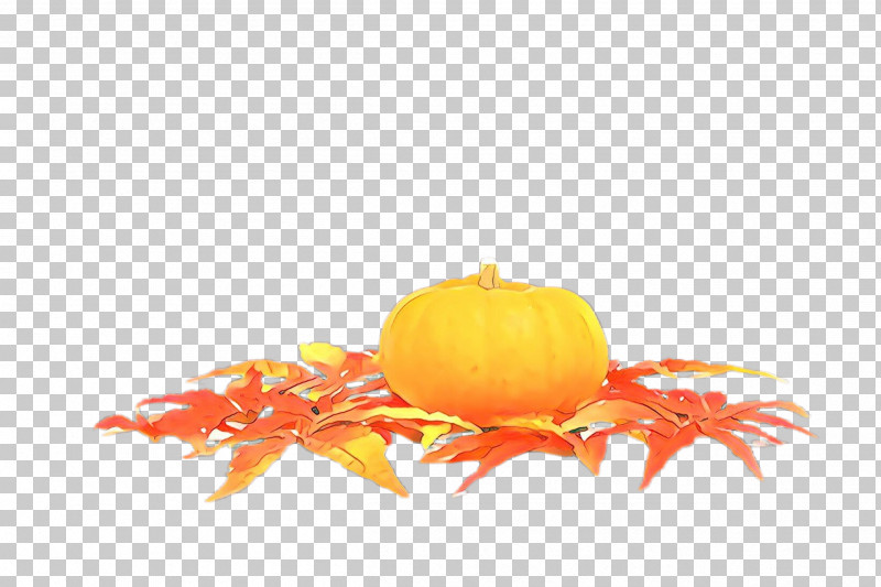 Orange PNG, Clipart, Fruit, Orange, Plant, Vegetarian Food, Yellow Free PNG Download