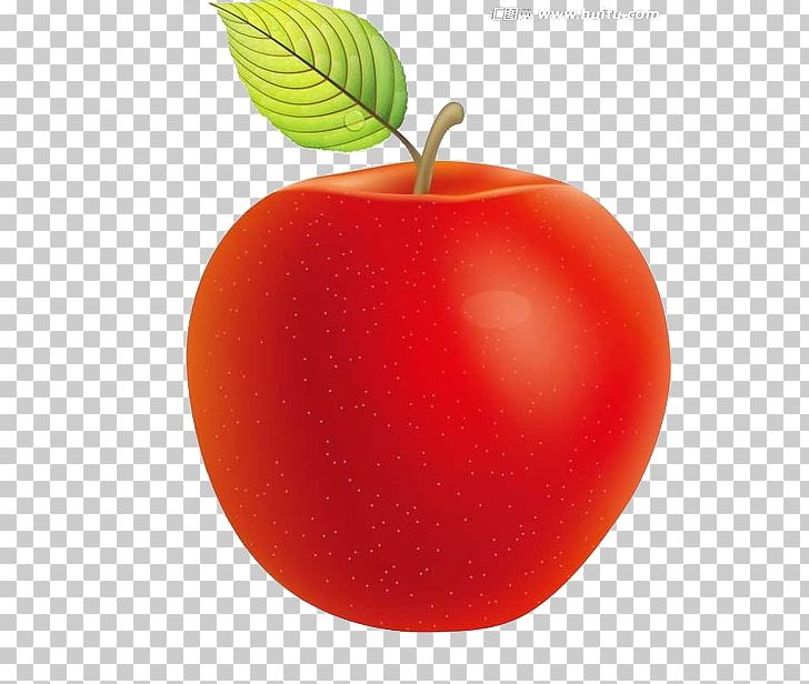 Apple Food PNG, Clipart, Apple, Balloon Cartoon, Boy Cartoon, Cartoon, Cartoon Character Free PNG Download