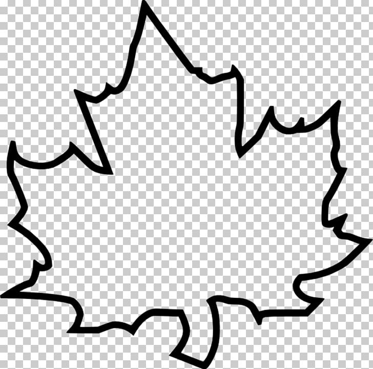 Autumn Leaf Color Coloring Book Sugar Maple PNG, Clipart, Artwork, Autumn, Autumn Leaf Color, Black, Black And White Free PNG Download