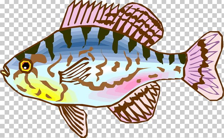 Cartoon Drawing PNG, Clipart, Animated Cartoon, Animation, Cartoon, Coral Reef Fish, Download Free PNG Download