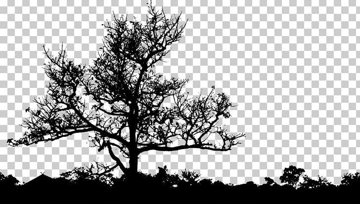 T-shirt Tree PNG, Clipart, Black And White, Branch, Clothing, Color, Landscape Free PNG Download