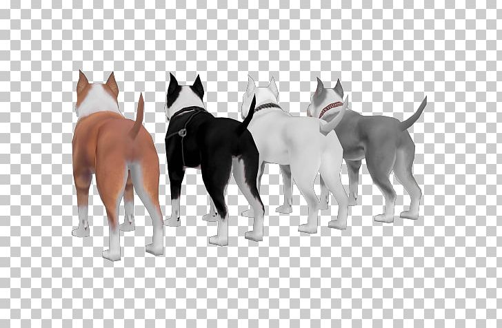 Dog Breed American Pit Bull Terrier Grand Theft Auto: San Andreas Puppy PNG, Clipart, American Pit Bull Terrier, Animals, Breed, Call Of Duty, Carnivoran Free PNG Download
