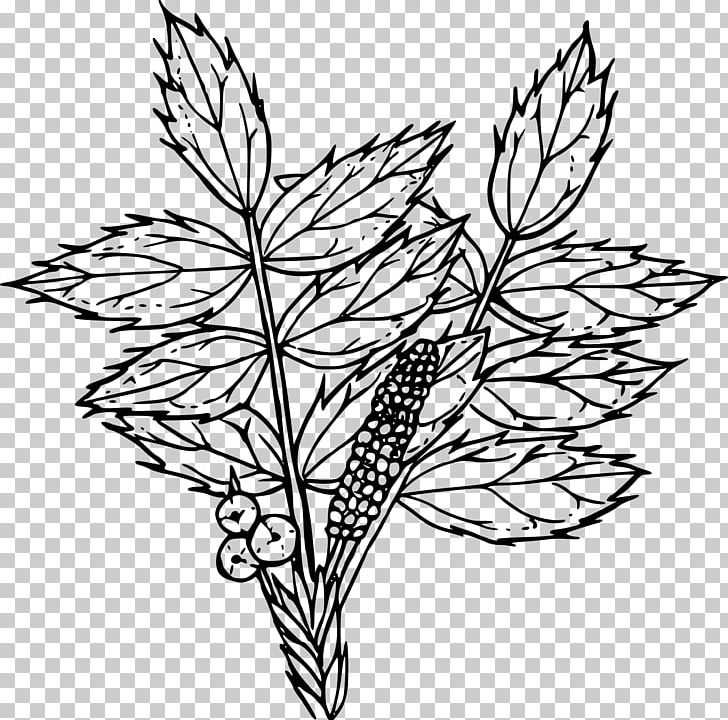 Flower Drawing Line Art PNG, Clipart, Art, Artwork, Berry, Black And White, Branch Free PNG Download