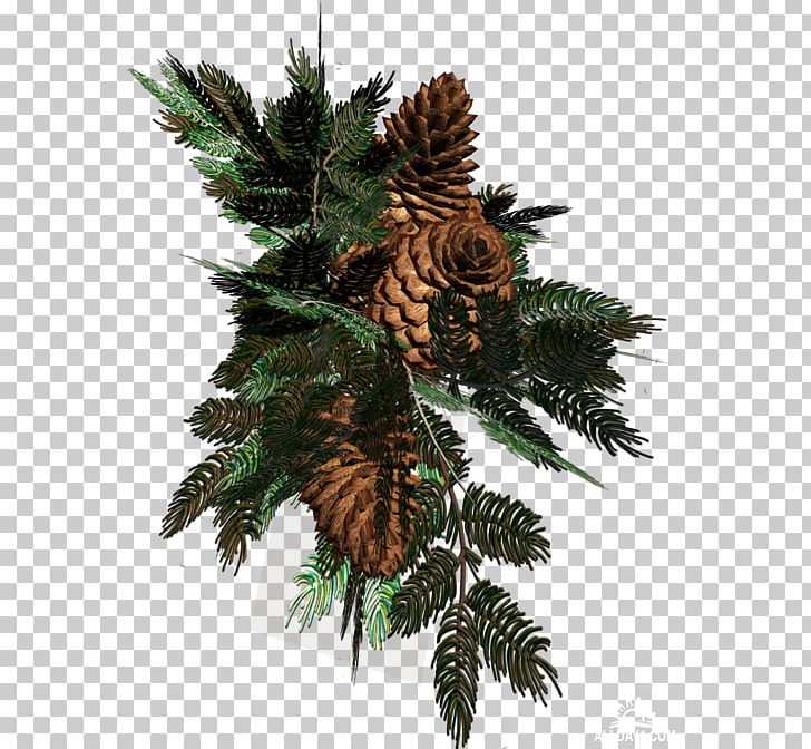 Spruce Christmas Day Christmas Ornament Christmas Tree Christmas Decoration PNG, Clipart, Christmas, Christmas Day, Christmas Decoration, Christmas Ornament, Christmas Tree Free PNG Download