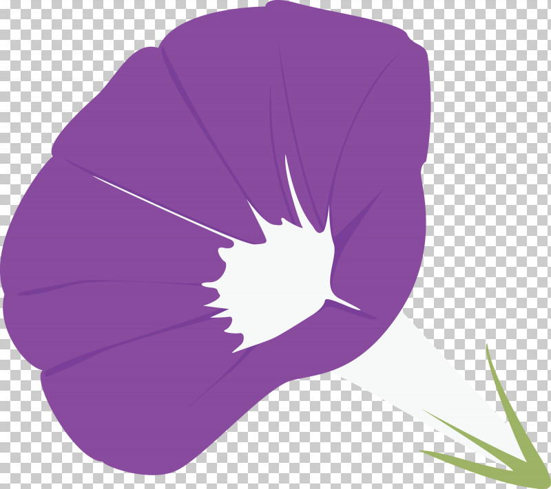 Morning Glory Flower PNG, Clipart, Flower, Lavender, Leaf, Morning Glory, Morning Glory Flower Free PNG Download