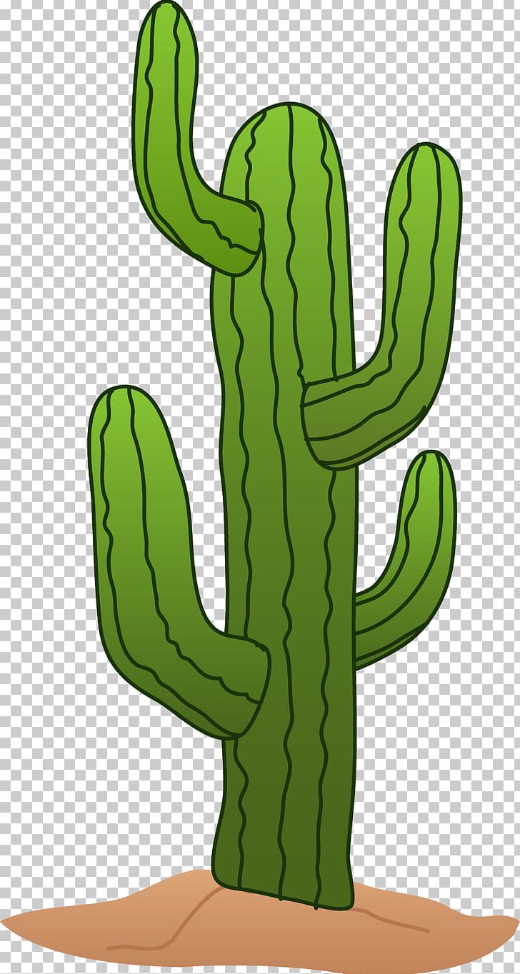 Cactaceae Saguaro Drawing PNG, Clipart, Arizona Cowboy, Arizona Cowboy Cliparts, Blog, Cactaceae, Cactus Free PNG Download