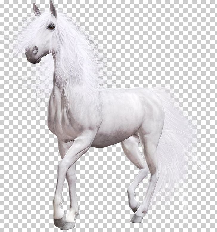 American Paint Horse Pony Portable Network Graphics White PNG, Clipart, American Paint Horse, Animal Figure, Black, Black And White, Desktop Wallpaper Free PNG Download