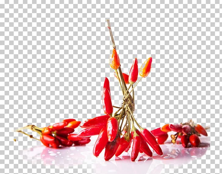 Indian Cuisine Chili Pepper Food Photography South Asian Pickles PNG, Clipart,  Free PNG Download