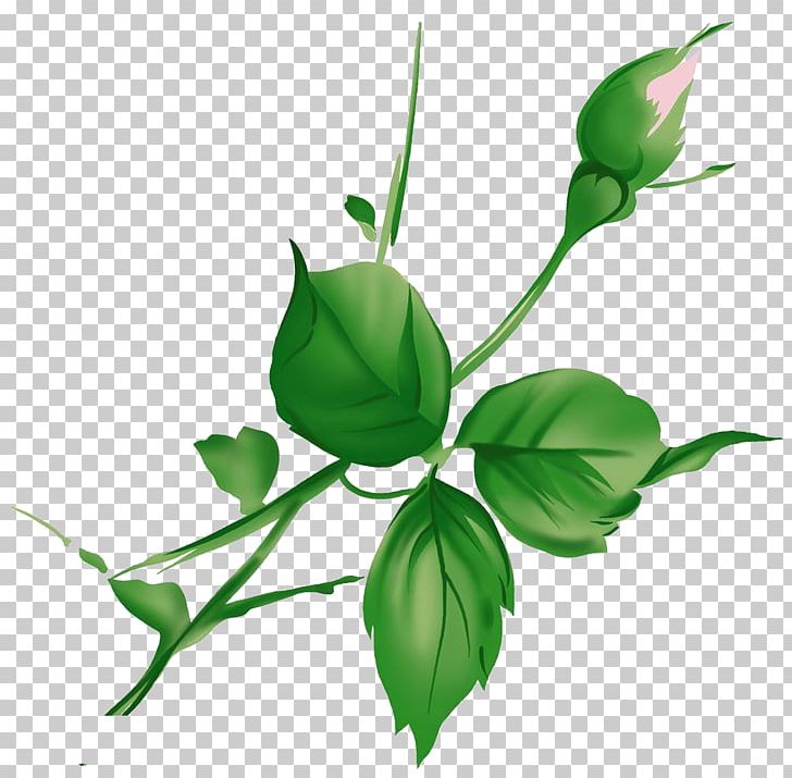 Leaf Green PNG, Clipart, Adobe Illustrator, Background Green, Branch, Bud, Decoration Free PNG Download