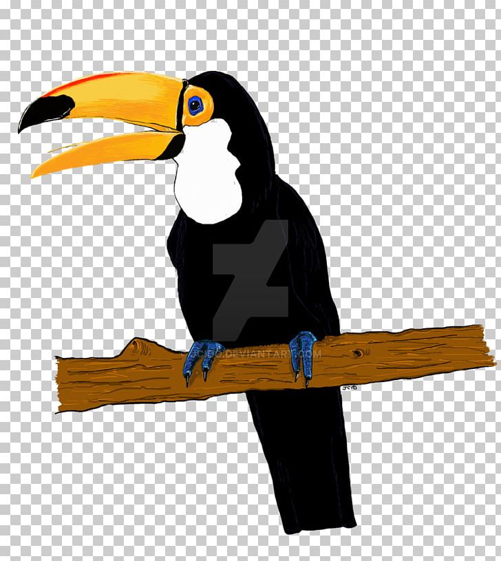 Toucan Bird Drawing Art PNG, Clipart, Animal, Animals, Art, Beak, Bird Free PNG Download
