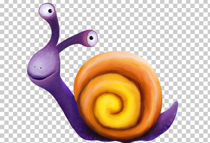 Snail Orthogastropoda Polymita Picta PNG, Clipart, Animals, Body Jewelry, Cartoon, Drawing, Escargot Free PNG Download