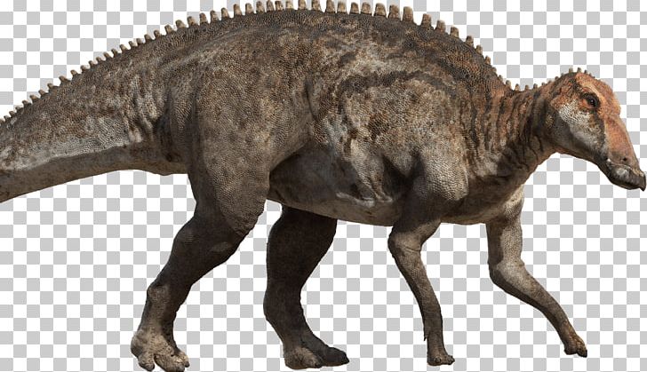 Tyrannosaurus Late Cretaceous Hadrosaurus Dinosaur Argentinosaurus PNG, Clipart, Argentinosaurus, Chased By Dinosaurs, Cretaceous, Dinosaur, Edmontosaurus Free PNG Download
