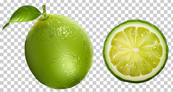 Lemon-lime Drink Persian Lime PNG, Clipart, Bitter Orange, Citric Acid, Citron, Citrus, Computer Icons Free PNG Download
