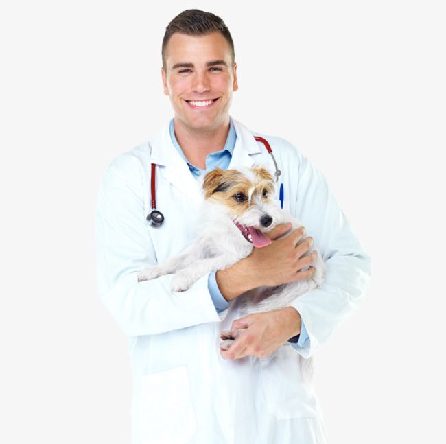 The Pet Doctor Holds The Dog PNG, Clipart, Doctor, Dog Doctor, Dog Doctor, Lovely, Pet Dog Free PNG Download