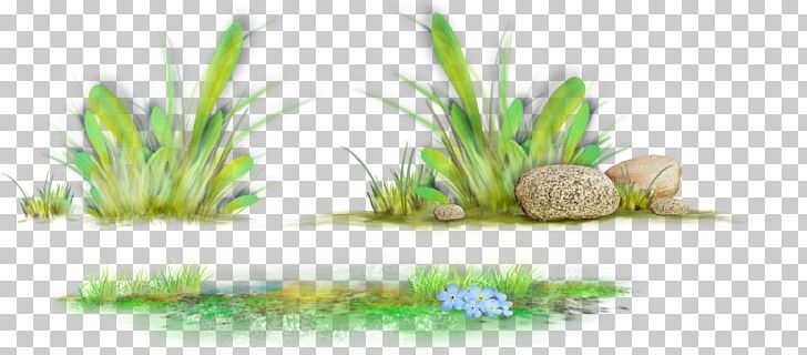 Desktop PNG, Clipart, Aquarium, Aquarium Decor, Computer, Computer Wallpaper, Desktop Wallpaper Free PNG Download