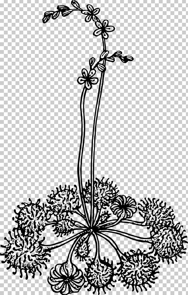 Floral Design Visual Arts Monochrome Leaf PNG, Clipart, Art, Black And White, Body Jewellery, Body Jewelry, Branch Free PNG Download