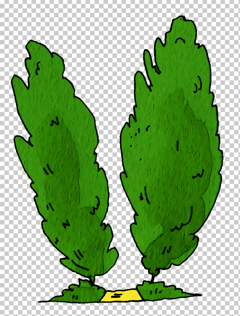 Cactus PNG, Clipart, Barbary Fig, Cactus, Leaf, Leaf Vegetable, Microgreen Free PNG Download