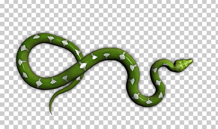 Boa Constrictor Snake Boas Amphibian Animal PNG, Clipart, Amphibian, Animal, Animals, Boa Constrictor, Boas Free PNG Download