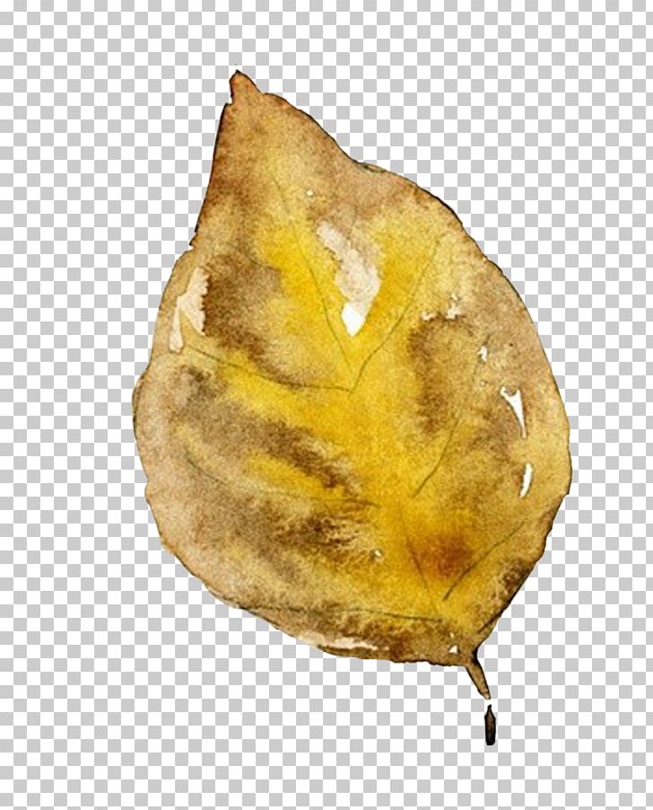 Leaf PNG, Clipart, Adobe Illustrator, Autumn Leaves, Banana Leaves, Download, Editing Free PNG Download