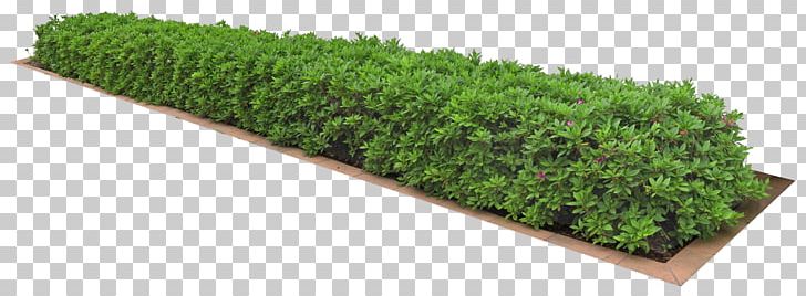 Plant 3D Computer Graphics Icon PNG, Clipart, 3d Computer Graphics, Artificial Grass, Cartoon Grass, Clump, Creative Grass Free PNG Download