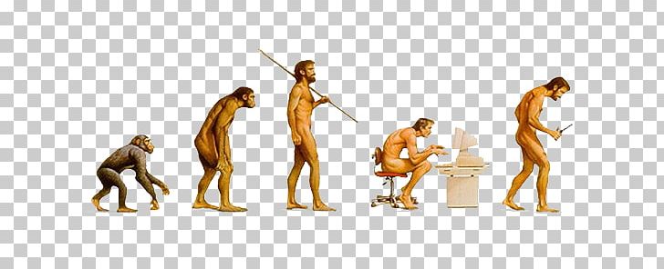 Human Evolution Internet Transitional Fossil Research PNG, Clipart, Cloud Computing, Computer, Computer Wallpaper, Evolution, Evolve Free PNG Download