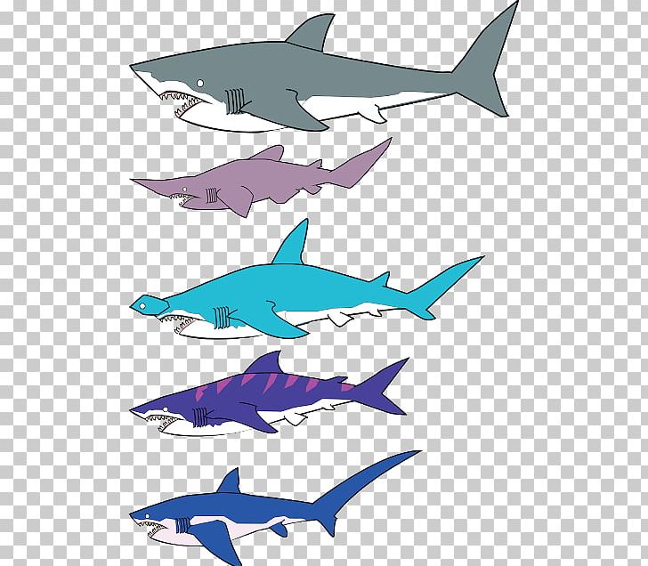 Squaliformes All About Sharks Shark Fin Soup Great White Shark PNG, Clipart, Angle, Cartilaginous Fish, Chondrichthyes, Desktop Wallpaper, Dolphin Free PNG Download