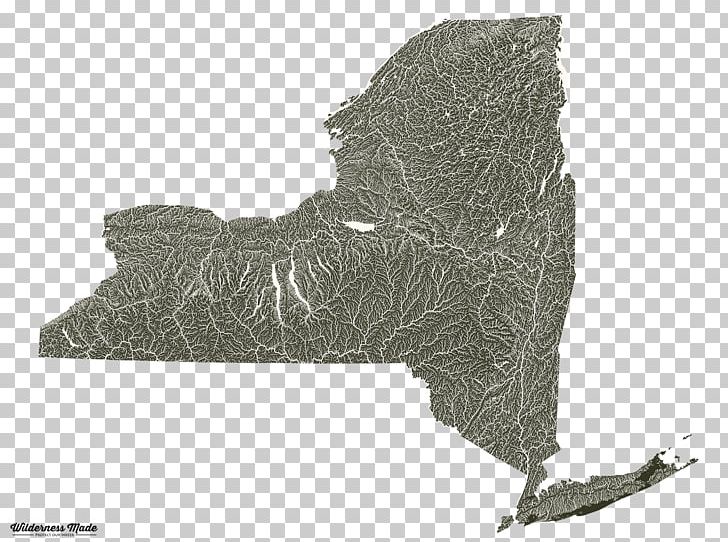 Reclaim New York United States Senate Special Election In New York PNG, Clipart, Andrew Cuomo, Angle, Carnivoran, Governor Of New York, Legislature Free PNG Download