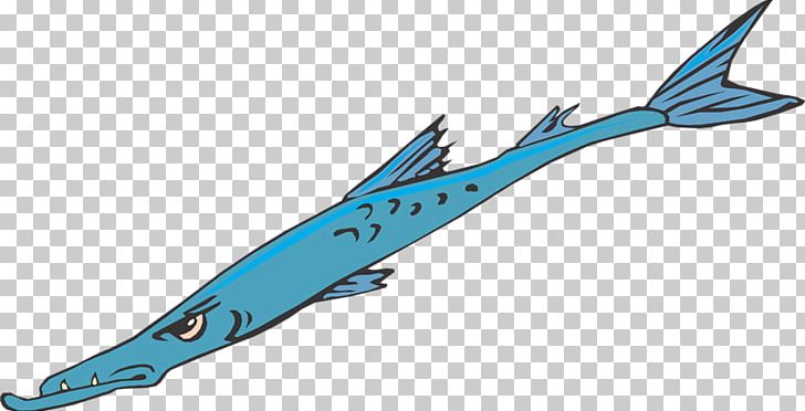 Shark Fish Cetacea PNG, Clipart, Animal, Animals, Barracuda, Cetacea, Coloring Book Free PNG Download