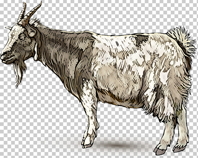 Bovine Cow-goat Family Ox Horn Livestock PNG, Clipart, Animal Figure, Bovine, Bull, Cowgoat Family, Drawing Free PNG Download