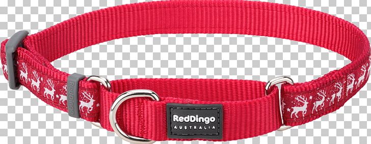 Dog Collar Buckle Dingo PNG, Clipart, Belt Buckle, Belt Buckles, Buckle, Collar, Dingo Free PNG Download