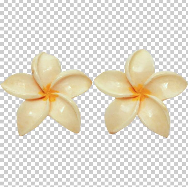 Frangipani Flower Petal Plumeria Hawaiian Jewelry Earring PNG, Clipart, Blossom, Body Jewellery, Body Jewelry, Earring, Earrings Free PNG Download