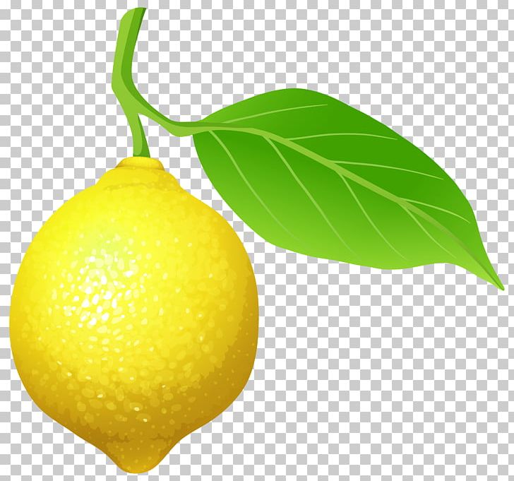 Variegated Pink Lemon Fruit Computer Icons PNG, Clipart, Blog, Citric Acid, Citron, Citrus, Computer Icons Free PNG Download