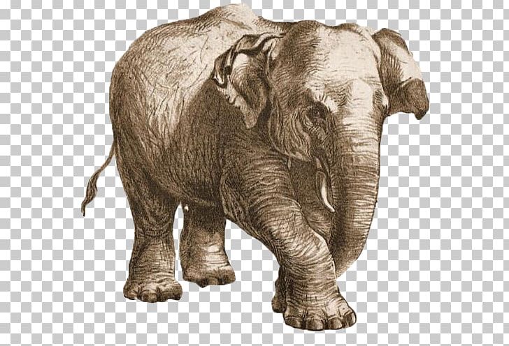 African Elephant Paper Birthday Illustration PNG, Clipart, Animal, Animals, Classical, Elephant, Elephants Free PNG Download
