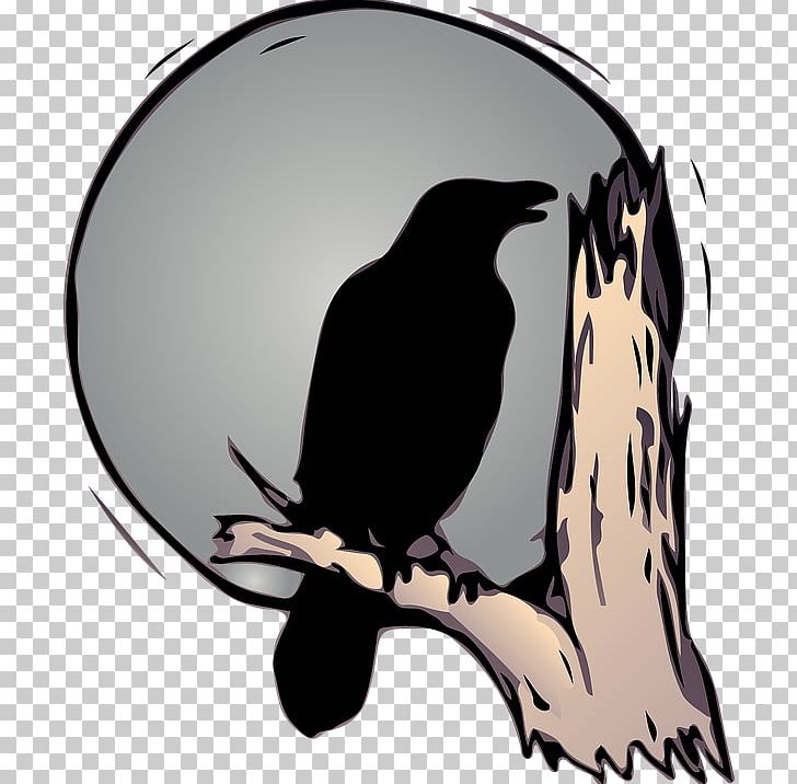 Bird Common Raven American Crow Drawing PNG, Clipart, American Crow, Animals, Beak, Bird, Branch Free PNG Download
