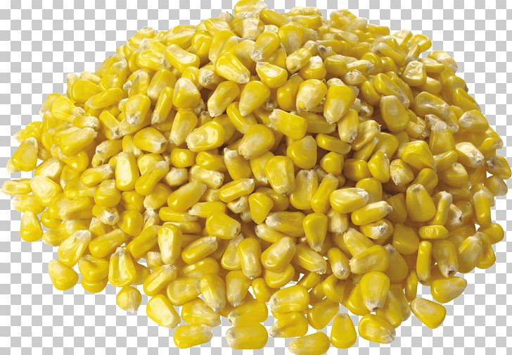 Maize Sweet Corn PNG, Clipart, Commodity, Computer Icons, Corn, Corn Flakes, Corn Kernel Free PNG Download