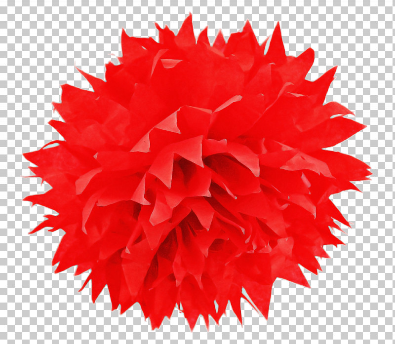 Red Pom-pom Pink Petal PNG, Clipart, Petal, Pink, Pompom, Red Free PNG Download