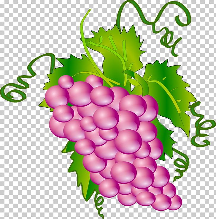 Common Grape Vine Wine Grape Leaves PNG, Clipart, Download, Flowering Plant, Food, Free Content, Fruit Free PNG Download