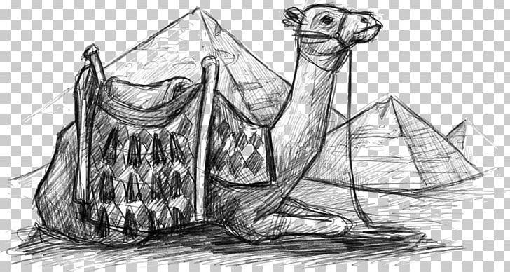 Egypt PNG, Clipart, Animal, Art, Artwork, Black And White, Camel Free PNG Download