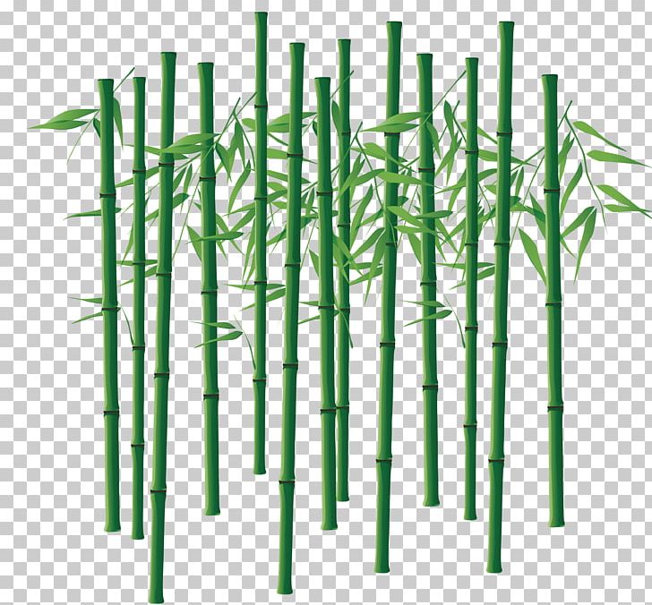 Bamboo Bamboe Computer File PNG, Clipart, Angle, Bamboo Forest, Bamboo Vector, Bambusa Oldhamii, Grass Free PNG Download