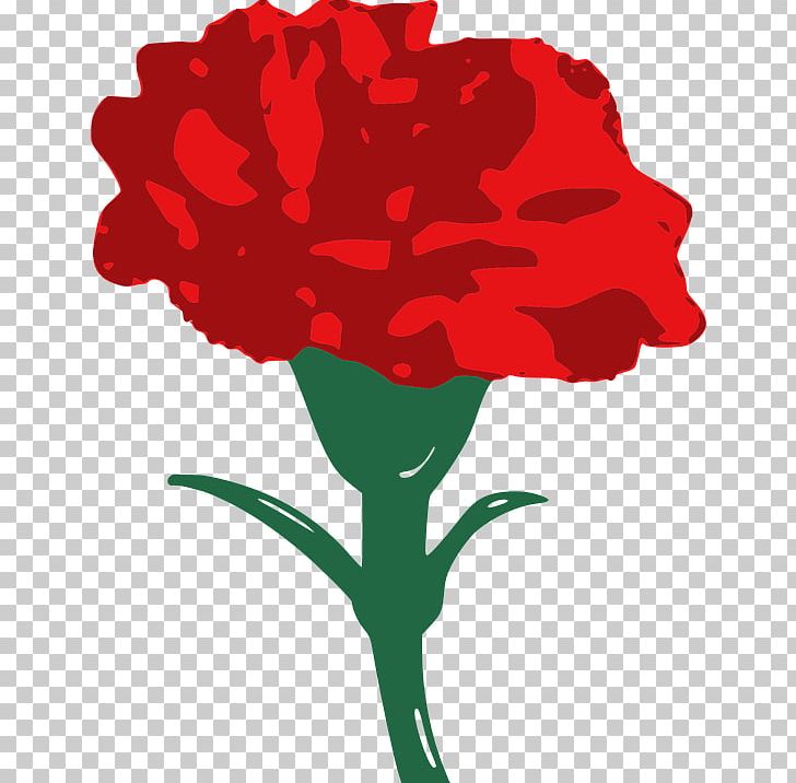 Carnation Drawing PNG, Clipart, Art, Artwork, Carnation, Cut Flowers, Desktop Wallpaper Free PNG Download