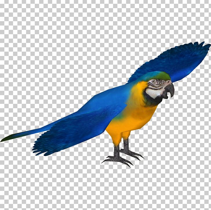 Blue-and-yellow Macaw Scarlet Macaw Blue-throated Macaw Lear's Macaw PNG, Clipart,  Free PNG Download