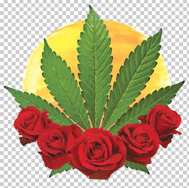 Cannabis Sativa Garden Roses Marijuana Hemp PNG, Clipart, Cannabis, Cannabis Sativa, Cut Flowers, Dispensary, Floral Design Free PNG Download