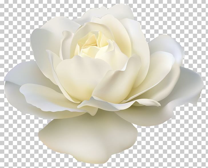 Flower Rose White PNG, Clipart, Artificial Flower, Art White, Camellia, Clip Art, Color Free PNG Download