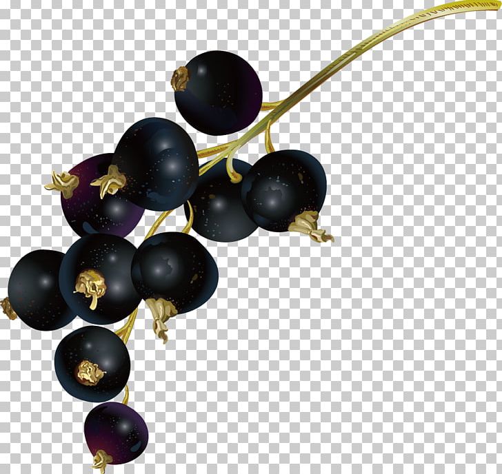 Juice Blueberry Fruit Bilberry PNG, Clipart, Apple Fruit, Auglis, Berry, Bilberry, Blueberry Free PNG Download