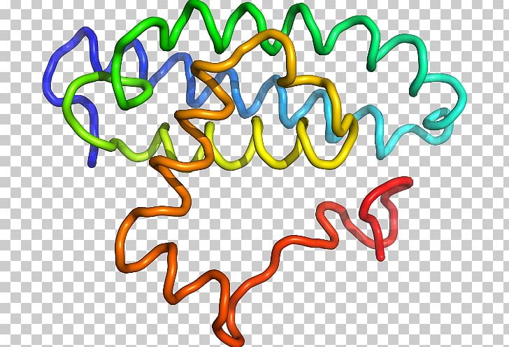 Organism Line PNG, Clipart, Area, Art, Artwork, C 47, D 1 Free PNG Download